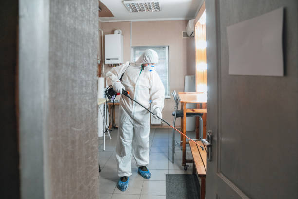 Reliable Union, OR Mold Removal Solutions