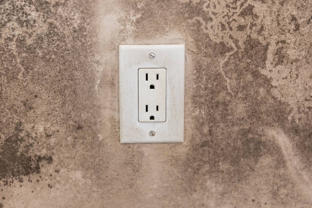 Best Dehumidification Services  in Union, OR